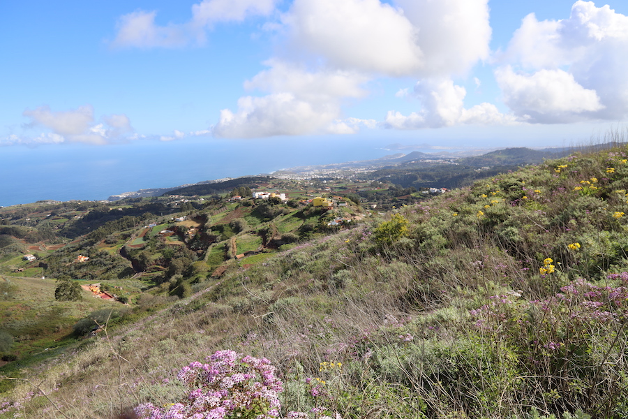 Qu Visitar Ver Y Hacer En Santa Mar A De Gu A Isla De Gran Canaria