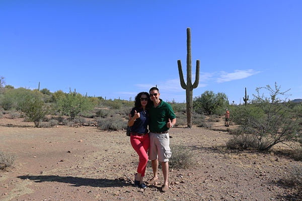 desierto cactus Scottsdale