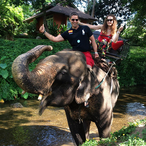 Elefante Tailandia