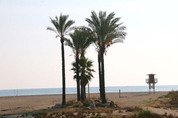 Playa Marinas Bolaga