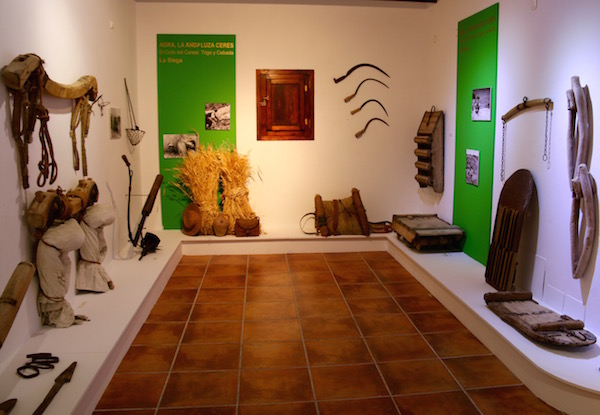 Museo Molino Lugar