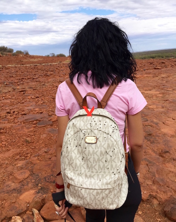 Moscas P.N Uluru- Kata Tjuta-Andorreando por el Mundo