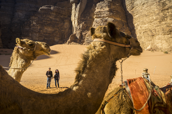 Camello Jordania