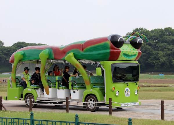 Autobús Turístico Corea del Sur