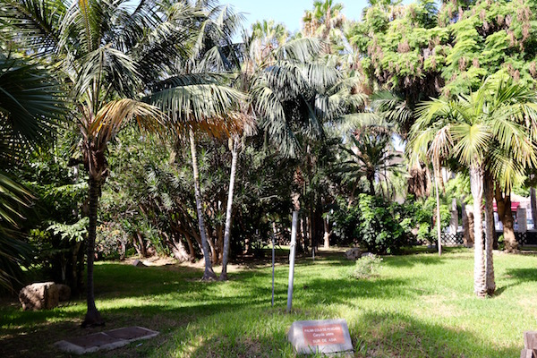 Parque Majuelo.