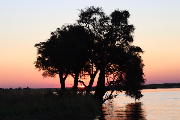 Paisaje Río Chobe