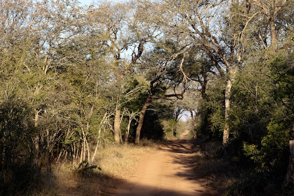 Reserva Kapama