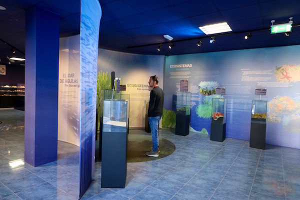 Exposiciones Centro de Interpretación del Mar