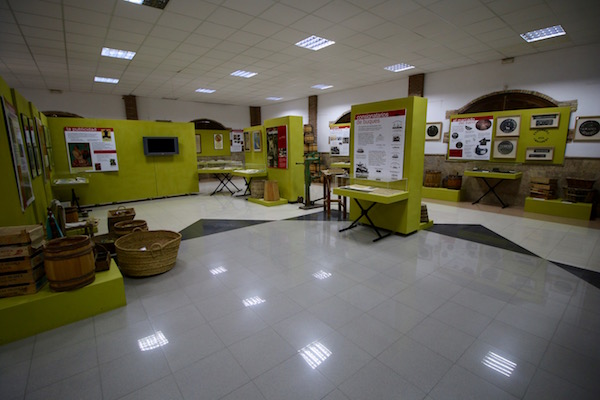 Exposición Museo Uva