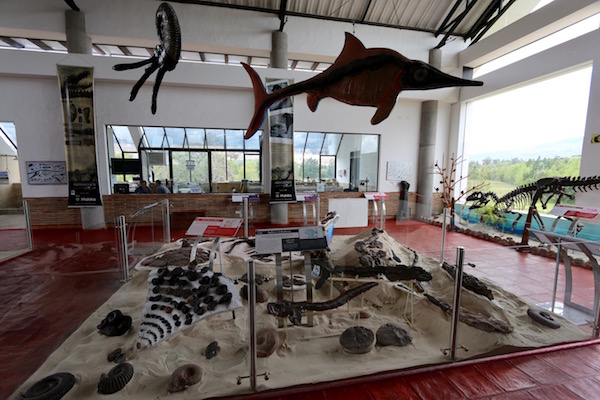 Exposición del Centro de Interpretación Paleontológica.