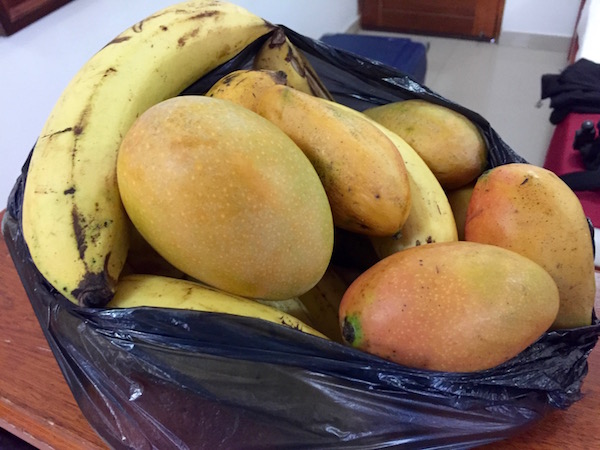 Fruta mangos y plátanos.