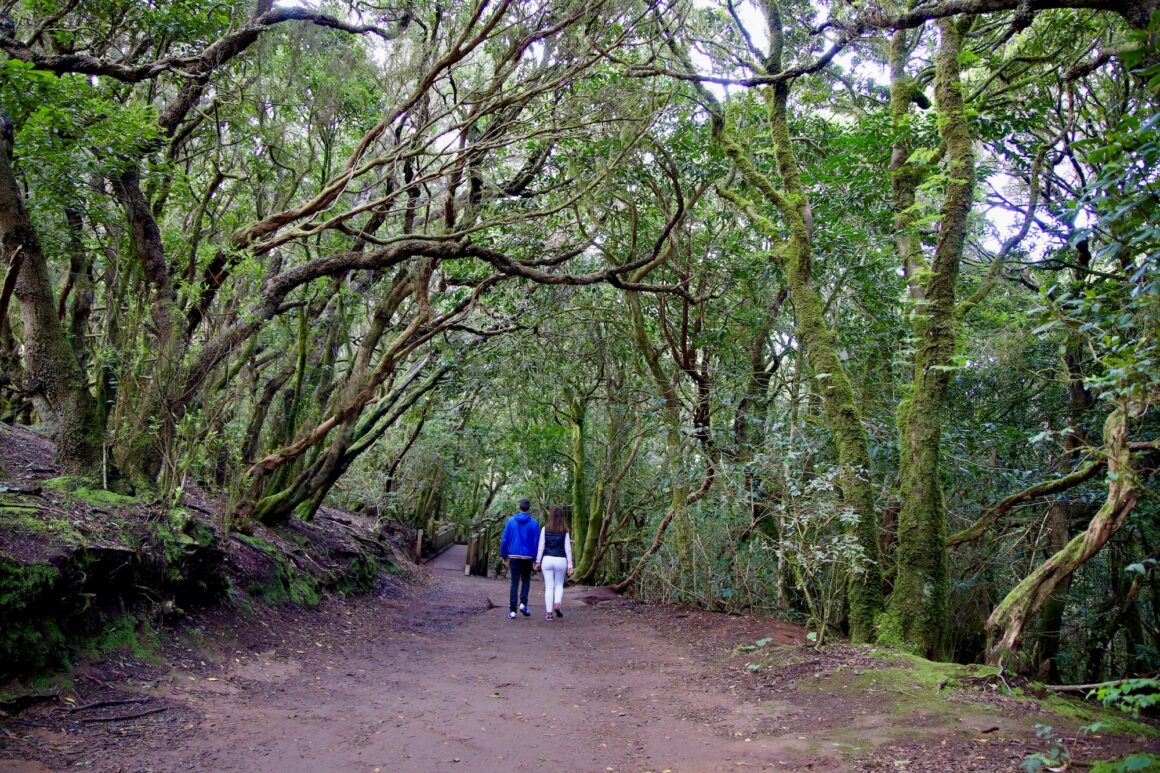 Parque Rural de Anaga, Tenerife.