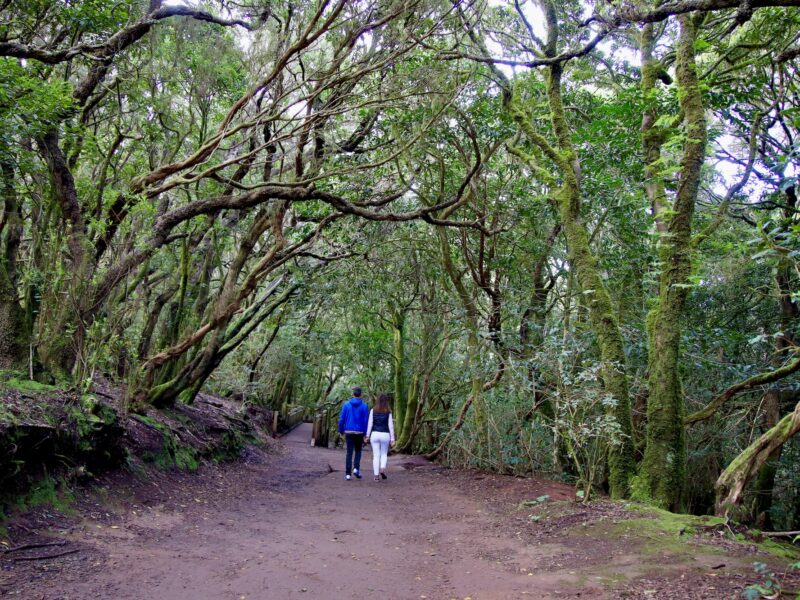 Parque Rural de Anaga, Tenerife.
