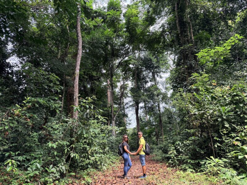 Guía para visitar el Parque Nacional Pongara, Gabón.